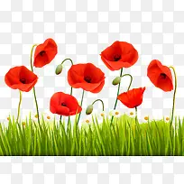 ºìÉ«»¨¶äС²Ý¿¨Í¨±³¾°ËزÄ-¿ÕÈôÍø ºìÉ«»¨¶äС²Ý¿¨Í¨±³¾°ËزÄ-¿ÕÈôÍø