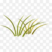 ÂÌÉ«¿¨Í¨Ð¡²Ý-¿ÕÈôÍø ÂÌÉ«¿¨Í¨Ð¡²Ý-¿ÕÈôÍø