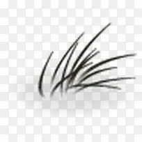 ��ͨС��-������