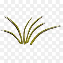 绿色小草-空若网 绿色小草-空若网