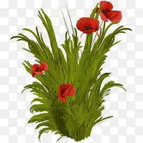 小草png免费下载-空若网 小草png免费下载-空若网