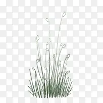 小草-空若网 小草-空若网