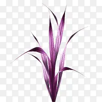 小草-空若网 小草-空若网