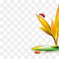 С²Ý ÆßÐÇÆ°³æ-¿ÕÈôÍø С²Ý ÆßÐÇÆ°³æ-¿ÕÈôÍø