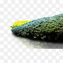 ²Ý-¿ÕÈôÍø ²Ý-¿ÕÈôÍø