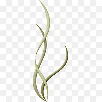 �̲�-������