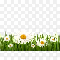 小草-空若网 小草-空若网