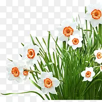 ��ɫС��-������