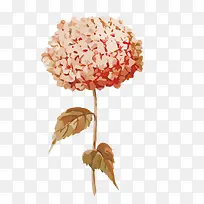 ʸ����ɫ��ҶС�ݻ����ֻ�-������