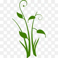 小草枝条-空若网 小草枝条-空若网