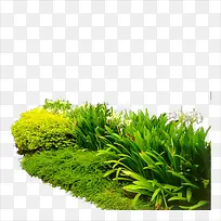 �ݶ�-������