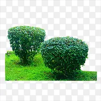 С��-������