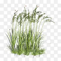 С��-������