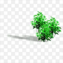 小草-空若网 小草-空若网