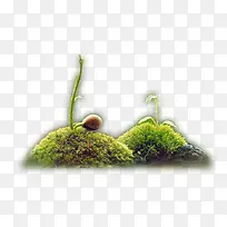 小草堆-空若网 小草堆-空若网