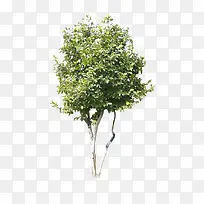 С��-������