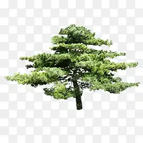 С��-������