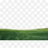 �ݵ�-������