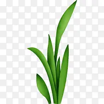 绿草-空若网 绿草-空若网