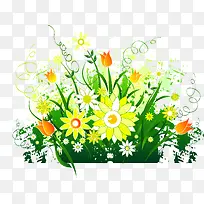 花朵草坪-空若网 花朵草坪-空若网