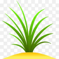 小草-空若网 小草-空若网