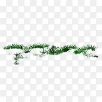 小绿草图片-空若网 小绿草图片-空若网