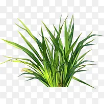 �ֻ��̲�-������