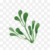 水彩小草-空若网 水彩小草-空若网