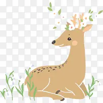 小鹿和绿草-空若网 小鹿和绿草-空若网
