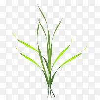 小草-空若网 小草-空若网