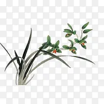 野草-空若网 野草-空若网