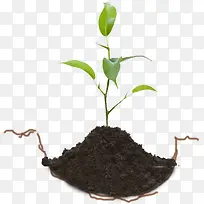 С²Ý-¿ÕÈôÍø С²Ý-¿ÕÈôÍø