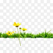 Â̲ÝС»¨-¿ÕÈôÍø Â̲ÝС»¨-¿ÕÈôÍø