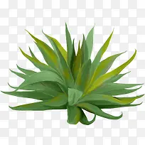 小草-空若网 小草-空若网