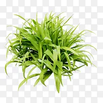 С������ز�-������