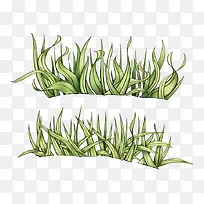 ÊÖ»æÐ¡²ÝÖ²Îï-¿ÕÈôÍø ÊÖ»æÐ¡²ÝÖ²Îï-¿ÕÈôÍø