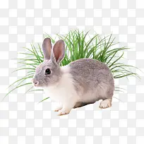 ���ӺͲ�-������