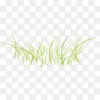 杂草图片-空若网 杂草图片-空若网