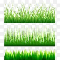 矢量草地-空若网 矢量草地-空若网