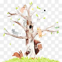 牛-空若网 牛-空若网