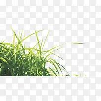 Â̲Ý-¿ÕÈôÍø Â̲Ý-¿ÕÈôÍø