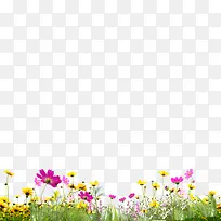 Â̲ÝС»¨-¿ÕÈôÍø Â̲ÝС»¨-¿ÕÈôÍø