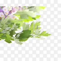 ����-������