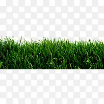 �ݵ�-������