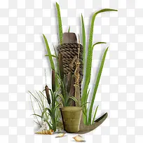 木桩小草-空若网 木桩小草-空若网