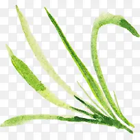 �̲�-������