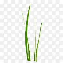 ��ɫС��-������