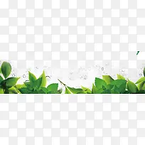 绿草-空若网 绿草-空若网