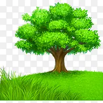 草地草坪-空若网 草地草坪-空若网