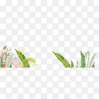 小花小草-空若网 小花小草-空若网